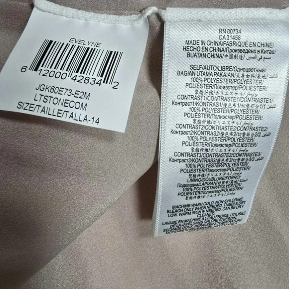 BCBG MAXAZRIA EVELYNE Size 14 Neutral Pleated Colorblock Impire Waist Maxi Dress - Picture 13 of 14